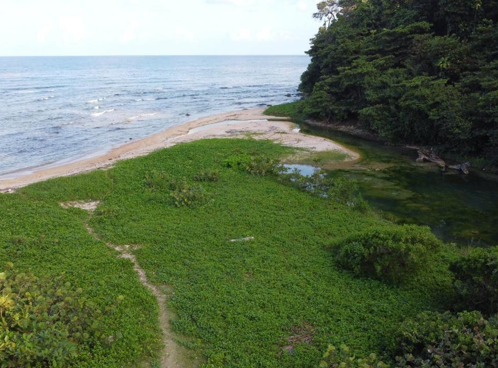 Manchioneal, Portland Parish, Address available on request Land for