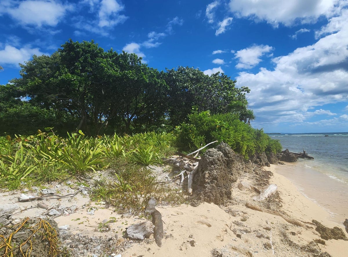 Rocky Point, St. Helene, Roatan, Bay Islands Department Land for Sale
