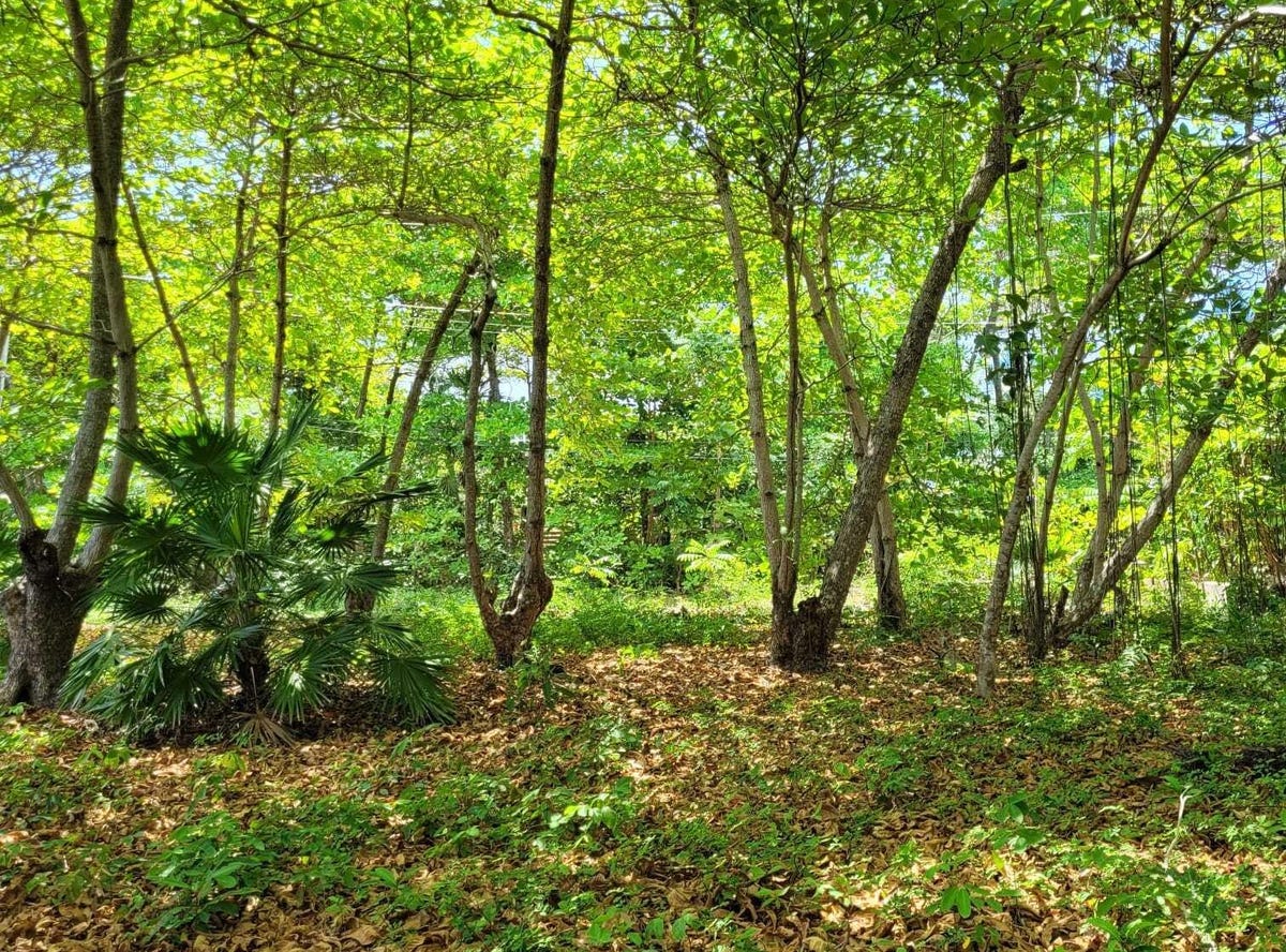 Utila, Bay Islands Department Land for Sale