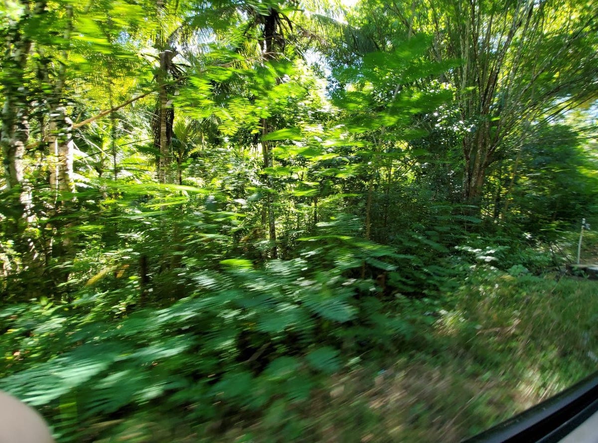 RETREAT, Retreat, St. Mary Parish Land for Sale