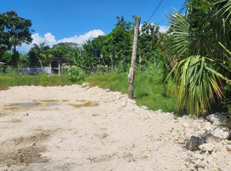 LOT 460 LLANDILO, 1284, Westmoreland Parish Land for Sale