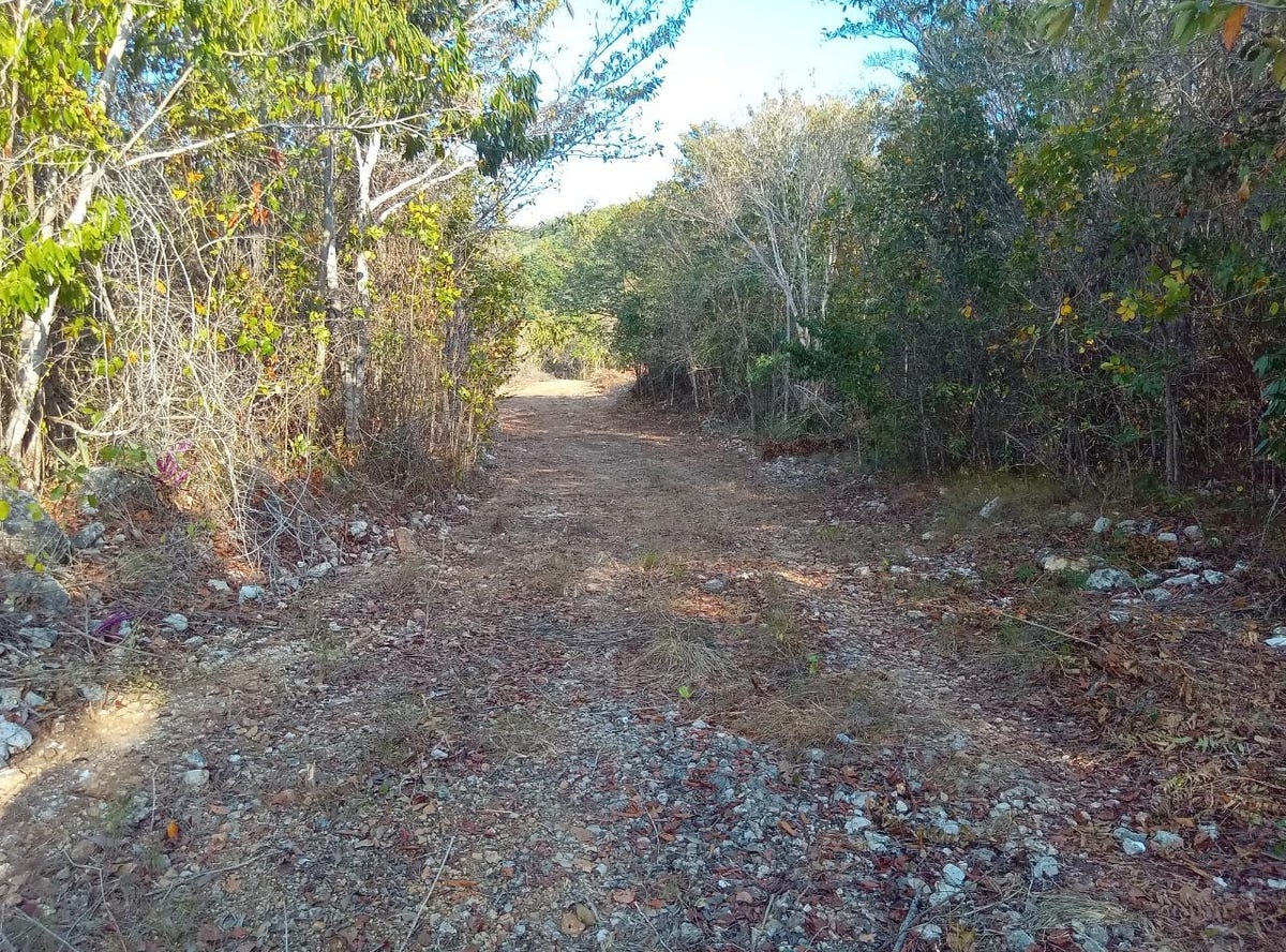 5 UNITY HALL ST. JAMES, Montego Bay, St. James Parish Land for Sale