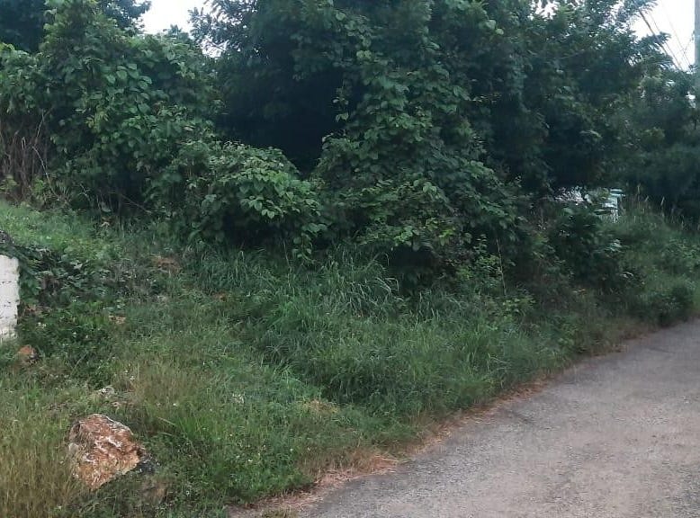 PHOENIX PARK, MONEAGUE, Moneague, St. Ann Parish Land for Sale