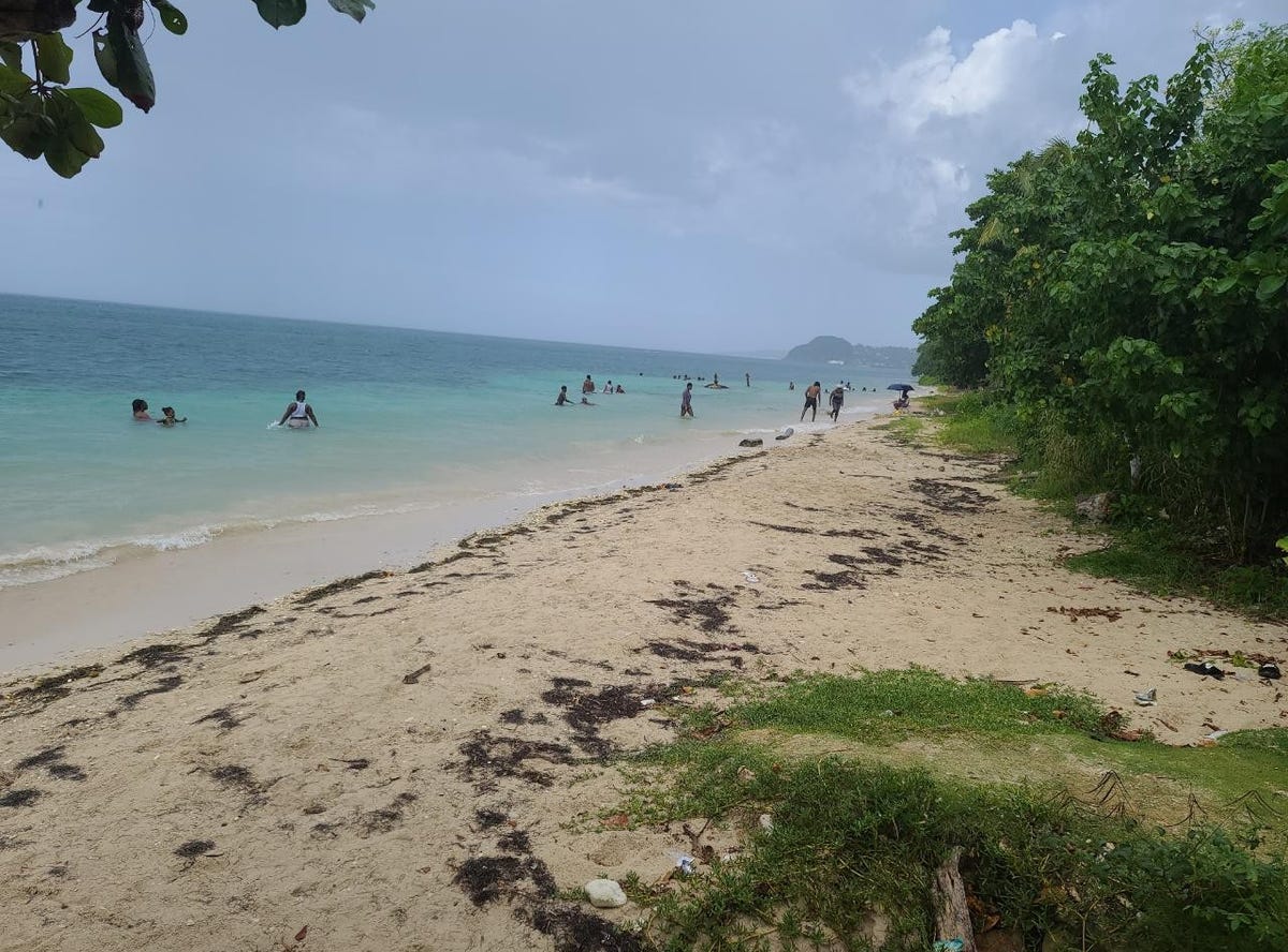 SEAVIEW, Hopewell, Hanover Parish Land for Sale