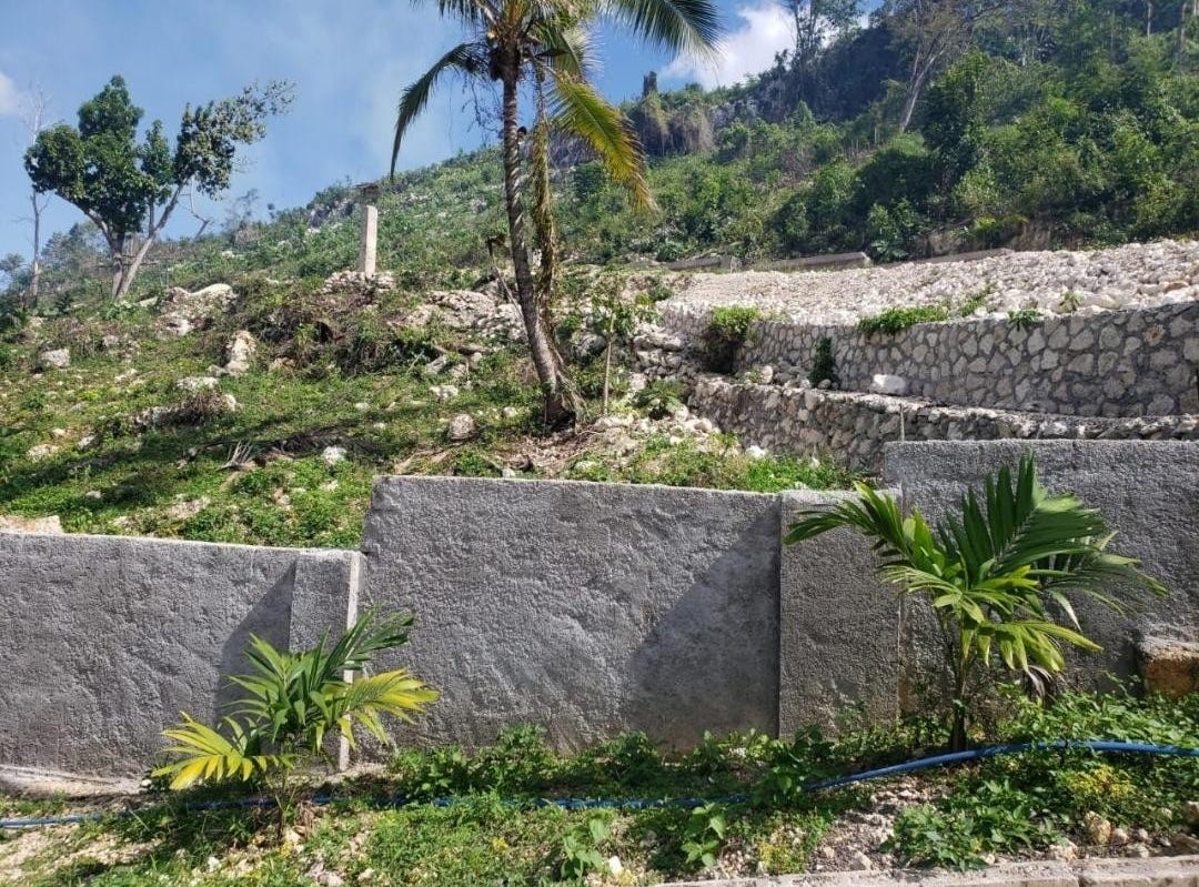 233 CHARLTON, EWARTON, Bog Walk, Saint Catherine Parish Land for Sale