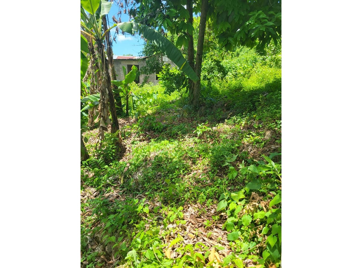 BONHAM SPRINGS, 794, St. Ann Parish Land for Sale