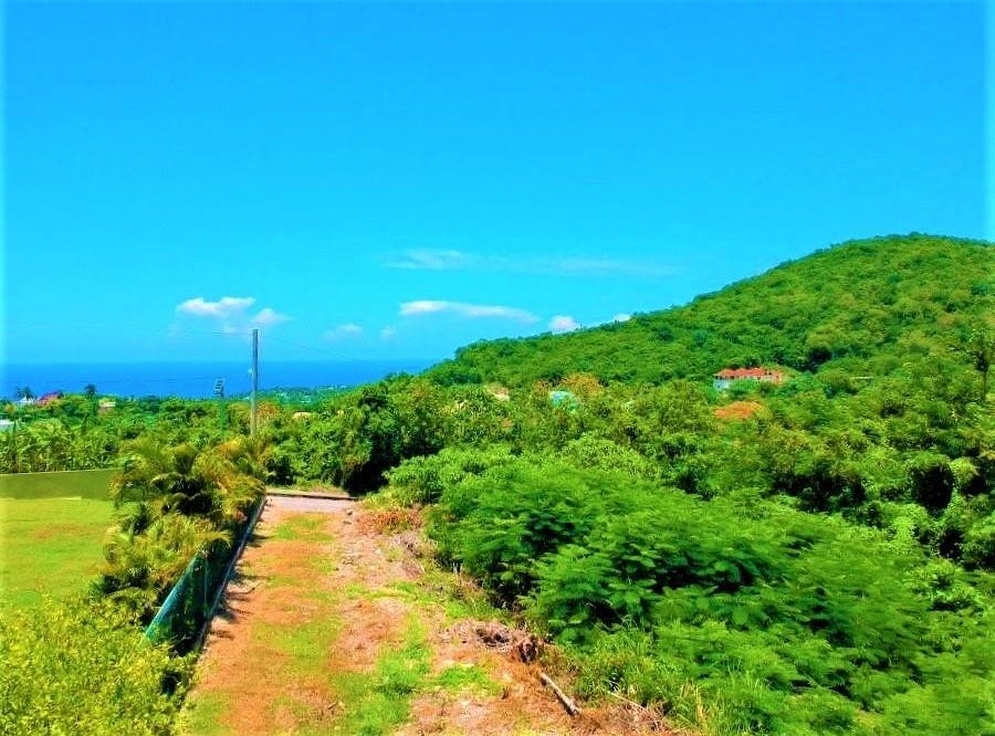 HARTFIELD SOUTH IRONSHORE, Montego Bay, St. James Parish Land for Sale