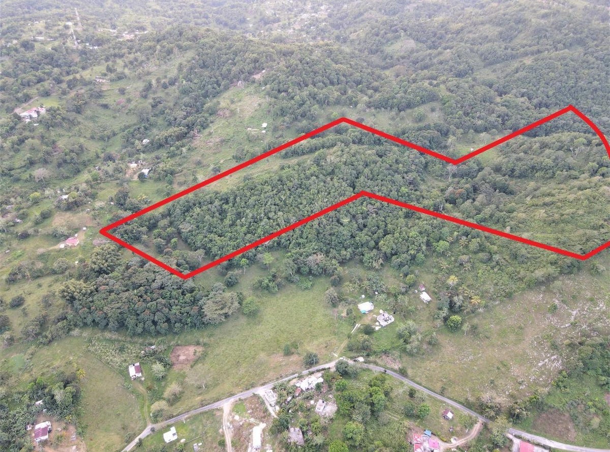 HOPEWELL WESTMORELAND, Darliston, Westmoreland Parish Land for Sale