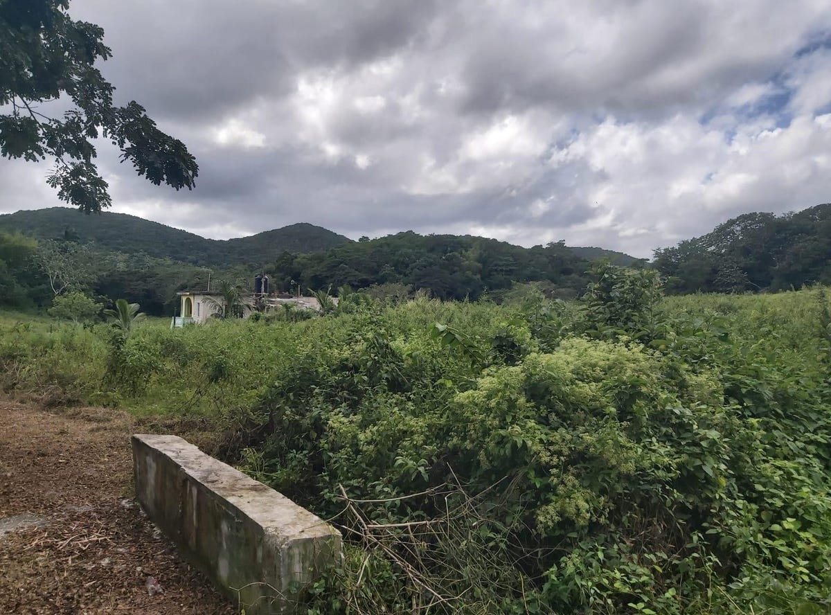 Lot 6 CONTENT ADELPHI, Adelphi, St. James Parish Land for Sale