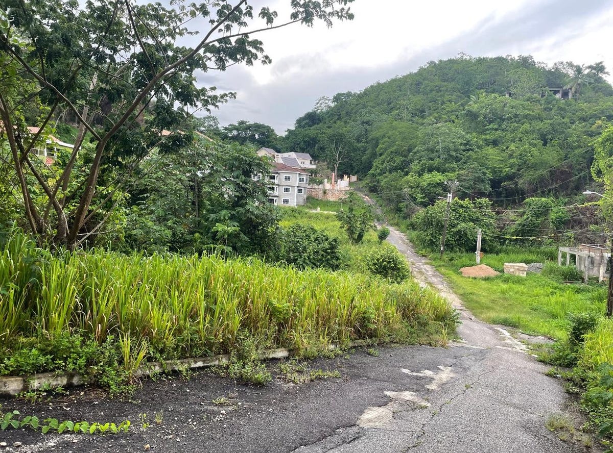 HORATIO WAY, Kingston 19, St. Andrew Parish Land for Sale