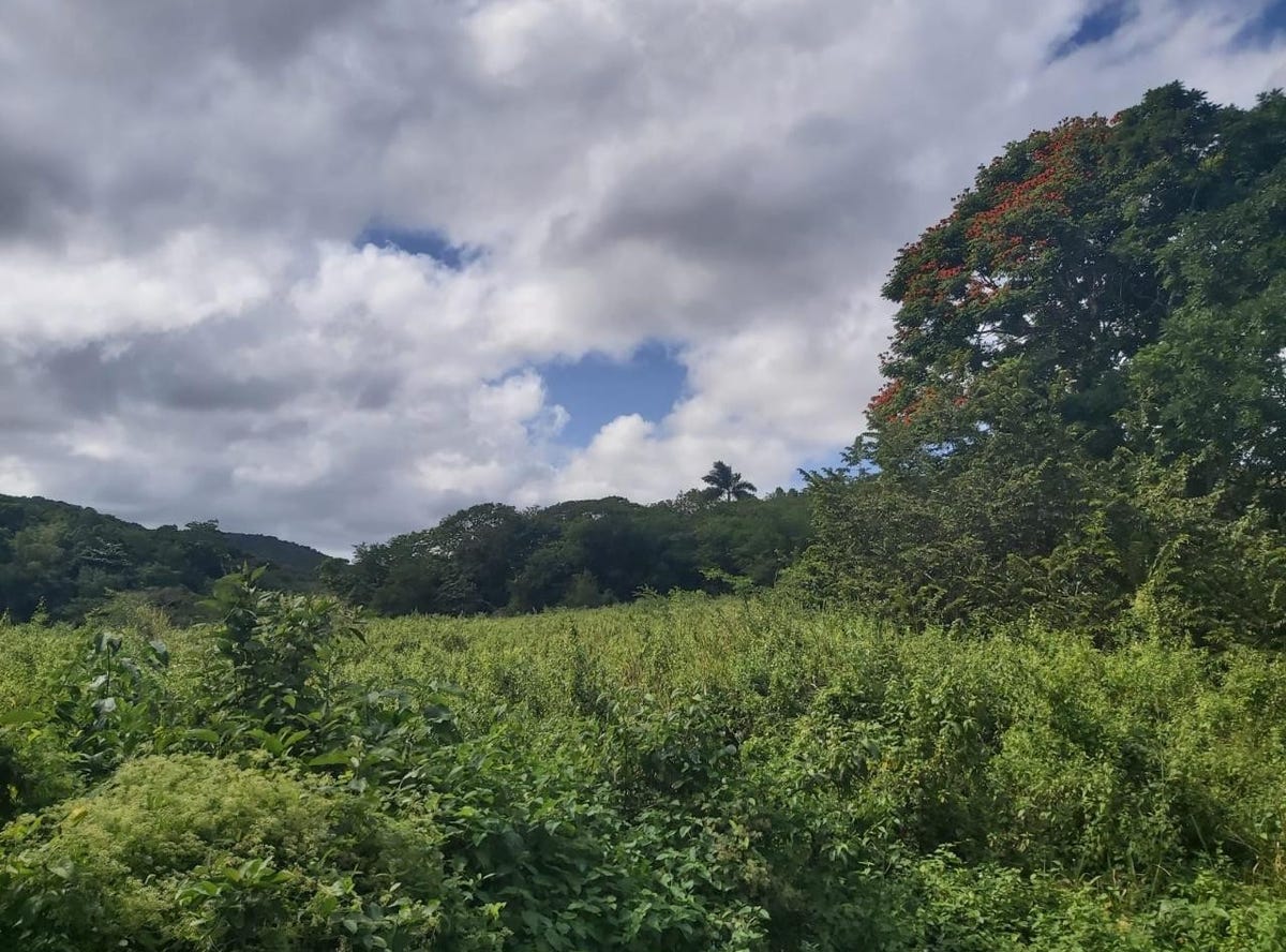 ADELPHI, ST. JAMES, Adelphi, St. James Parish Land for Sale