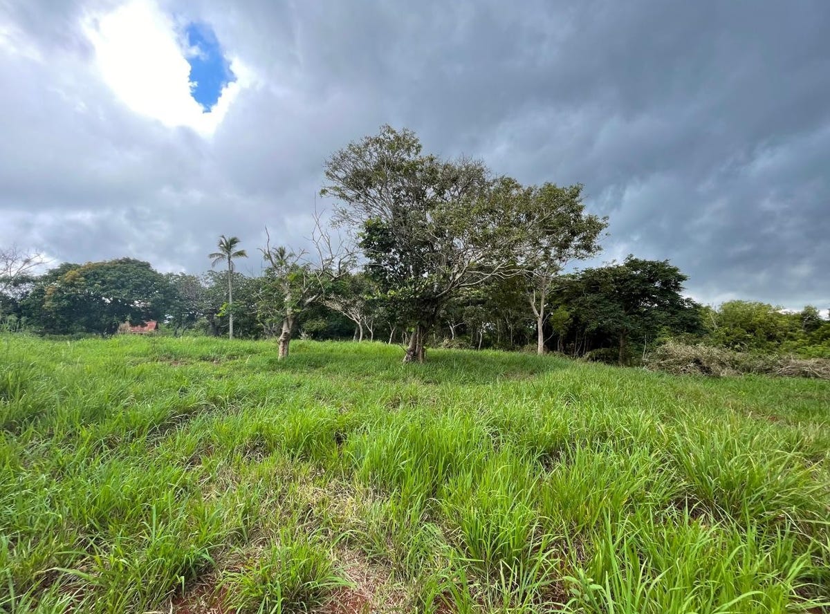 PART OF BELLEVUE, Southfield, St. Elizabeth Parish Land for Sale