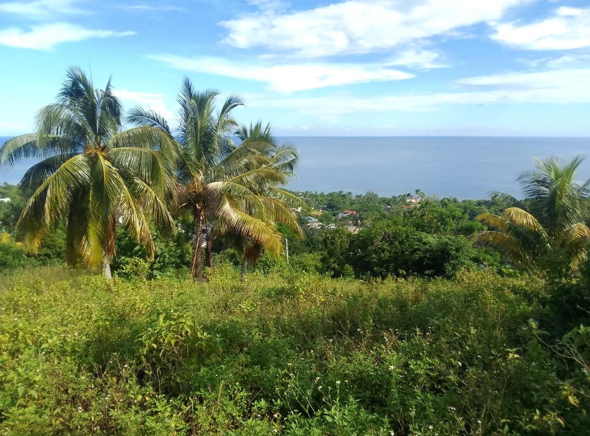 RHYNIE DRIVE, UNITY HALL, Montego Bay, St. James Parish Land for Sale