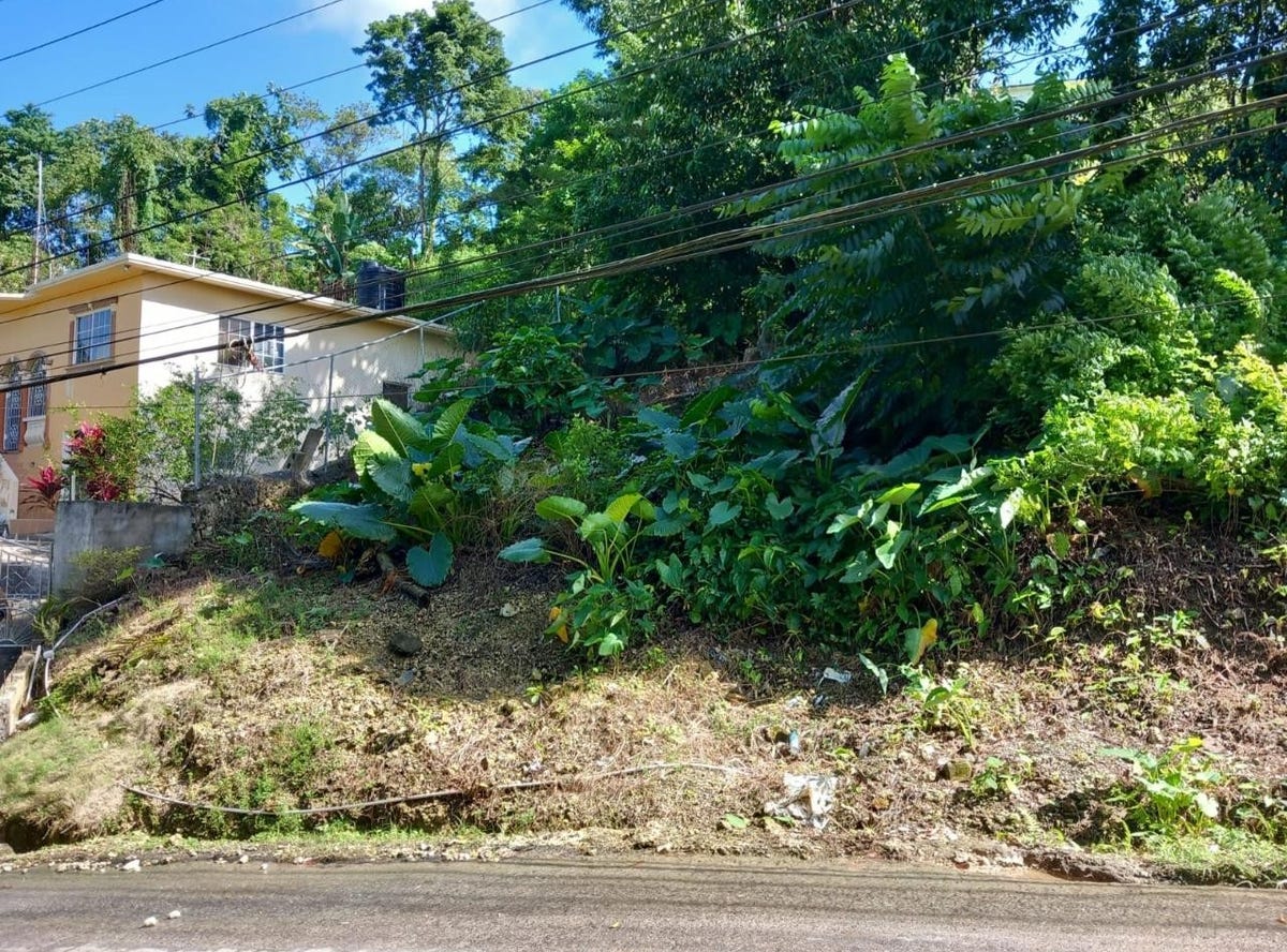 FAIRY HILL, Fairy Hill, Portland Parish Land for Sale