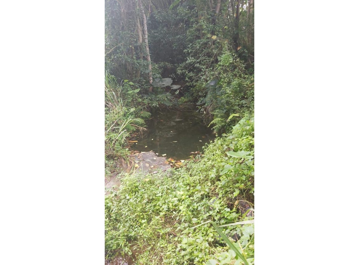 BALLARDS VALLEY, 1094, St. Mary Parish Land for Sale