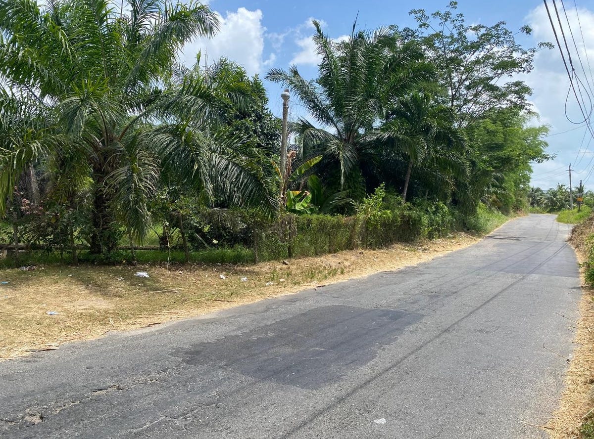 HYDE ROAD, Bog Walk, Saint Catherine Parish Land for Sale
