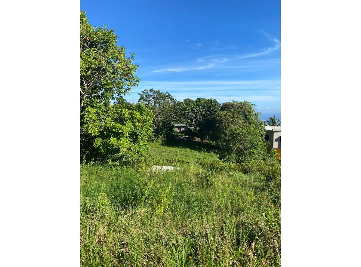 BEECHER TOWN, 734, St. Ann Parish Land for Sale