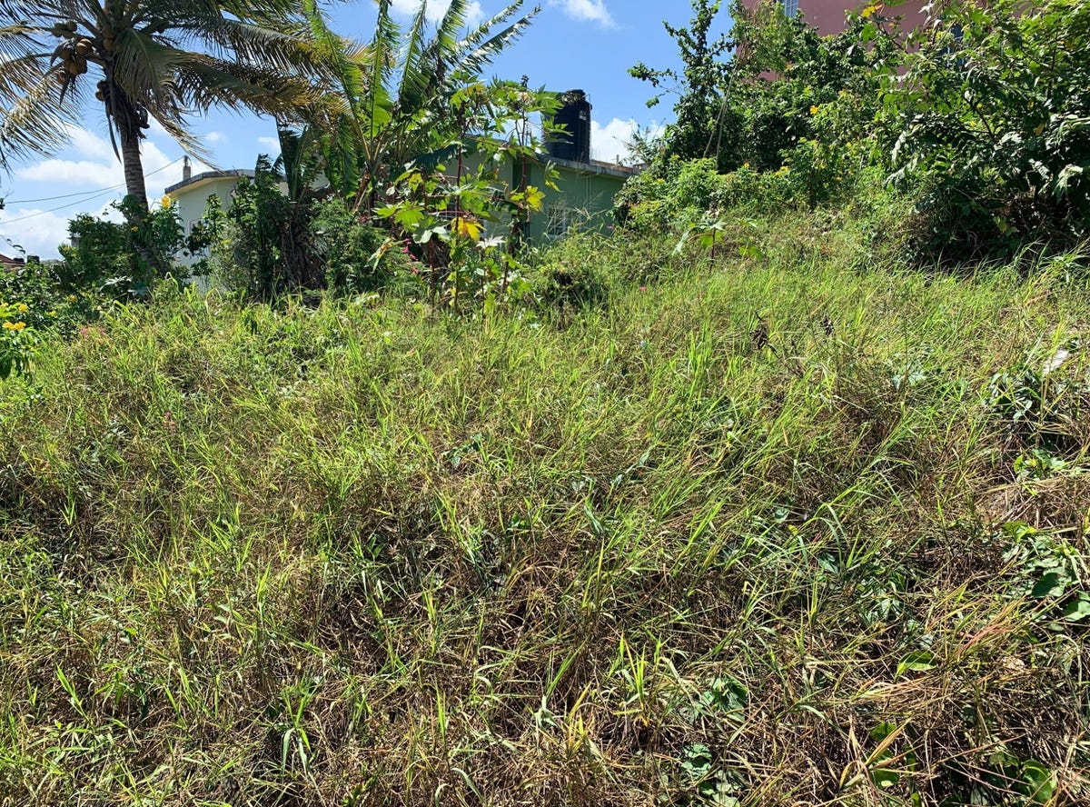 FREEDOM DRIVE, 582, Trelawny Parish Land for Sale