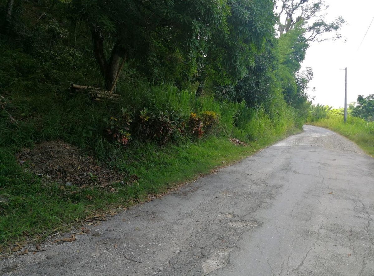 WOODSIDE, Carron Hall, St. Mary Parish Land/Development for Sale