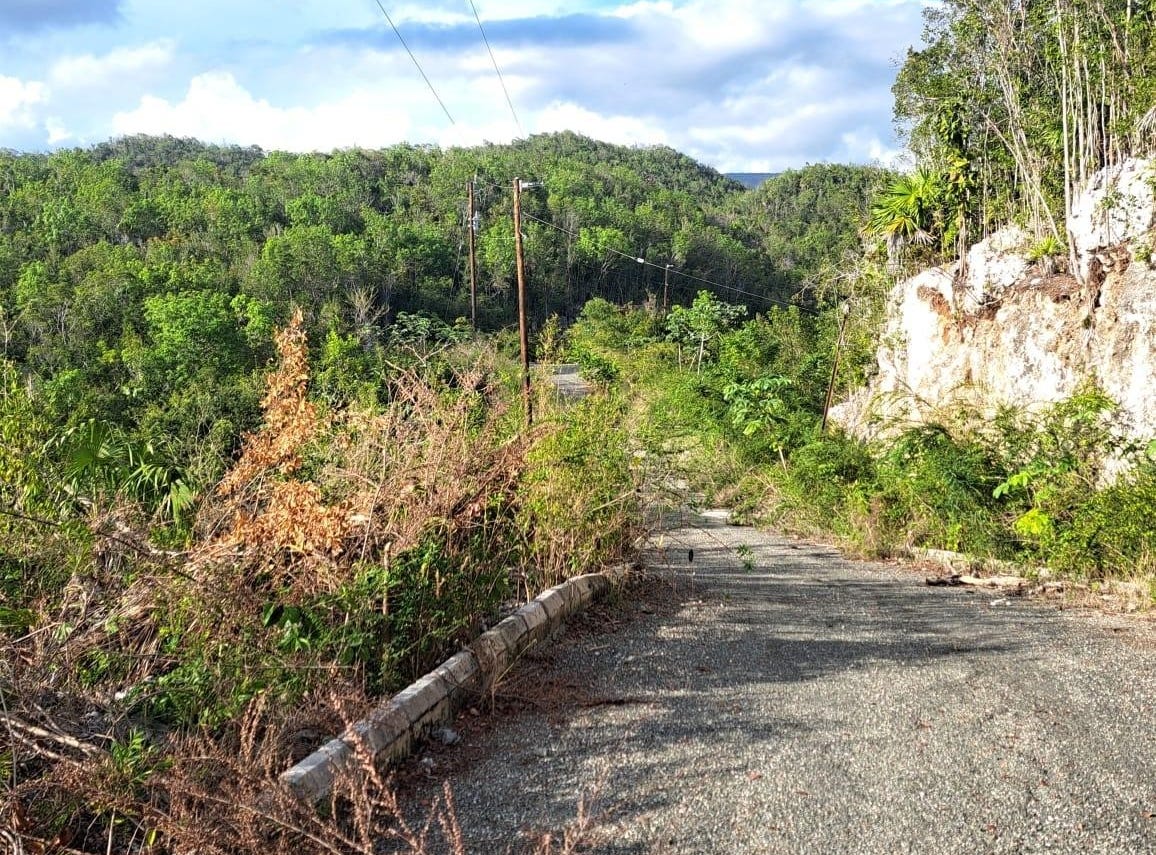 ST. JAGO HILLS DEV., Spanish Town, Saint Catherine Parish Land for Sale