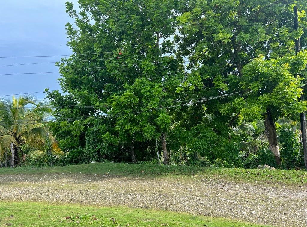 COTTON TREE ESTATE, Anchovy, St. James Parish House for Sale