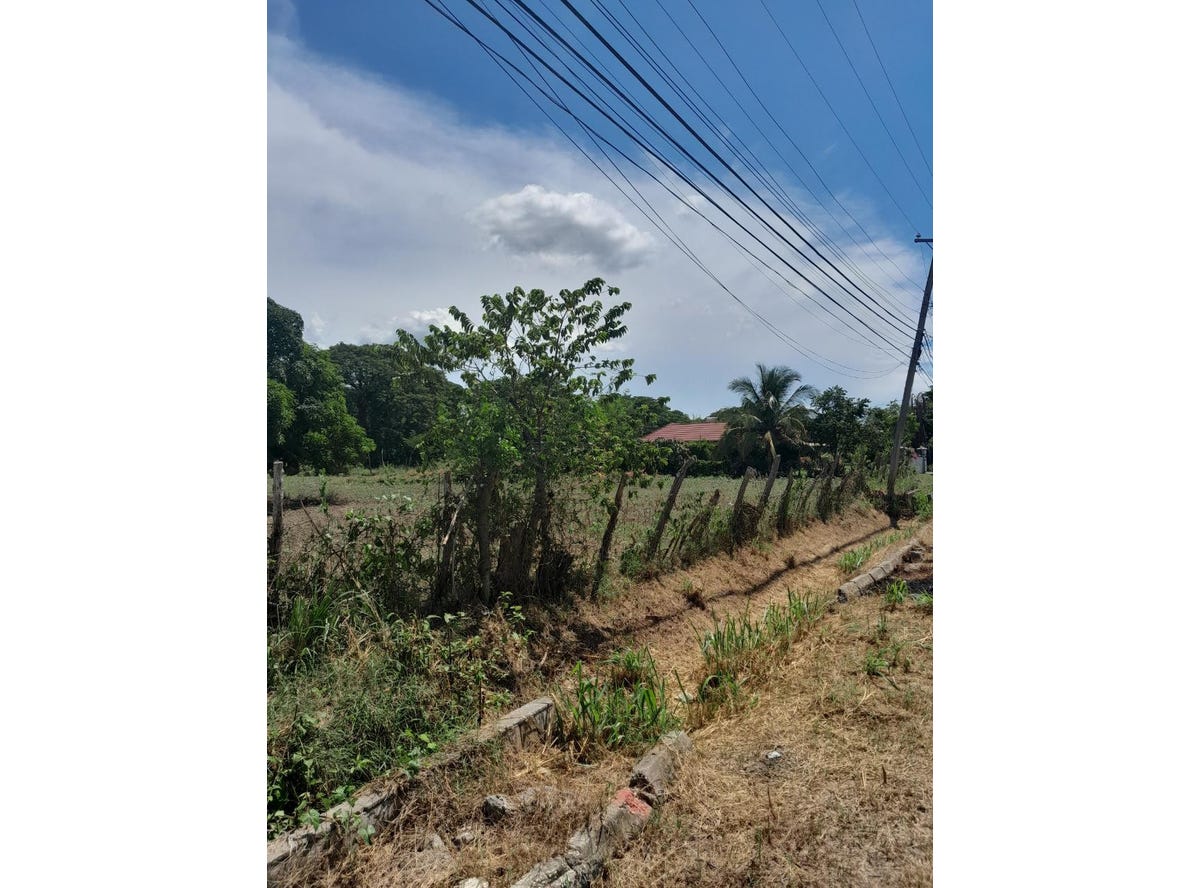 VINEYARD CRESCENT, Old Harbour, Saint Catherine Parish Land for Sale