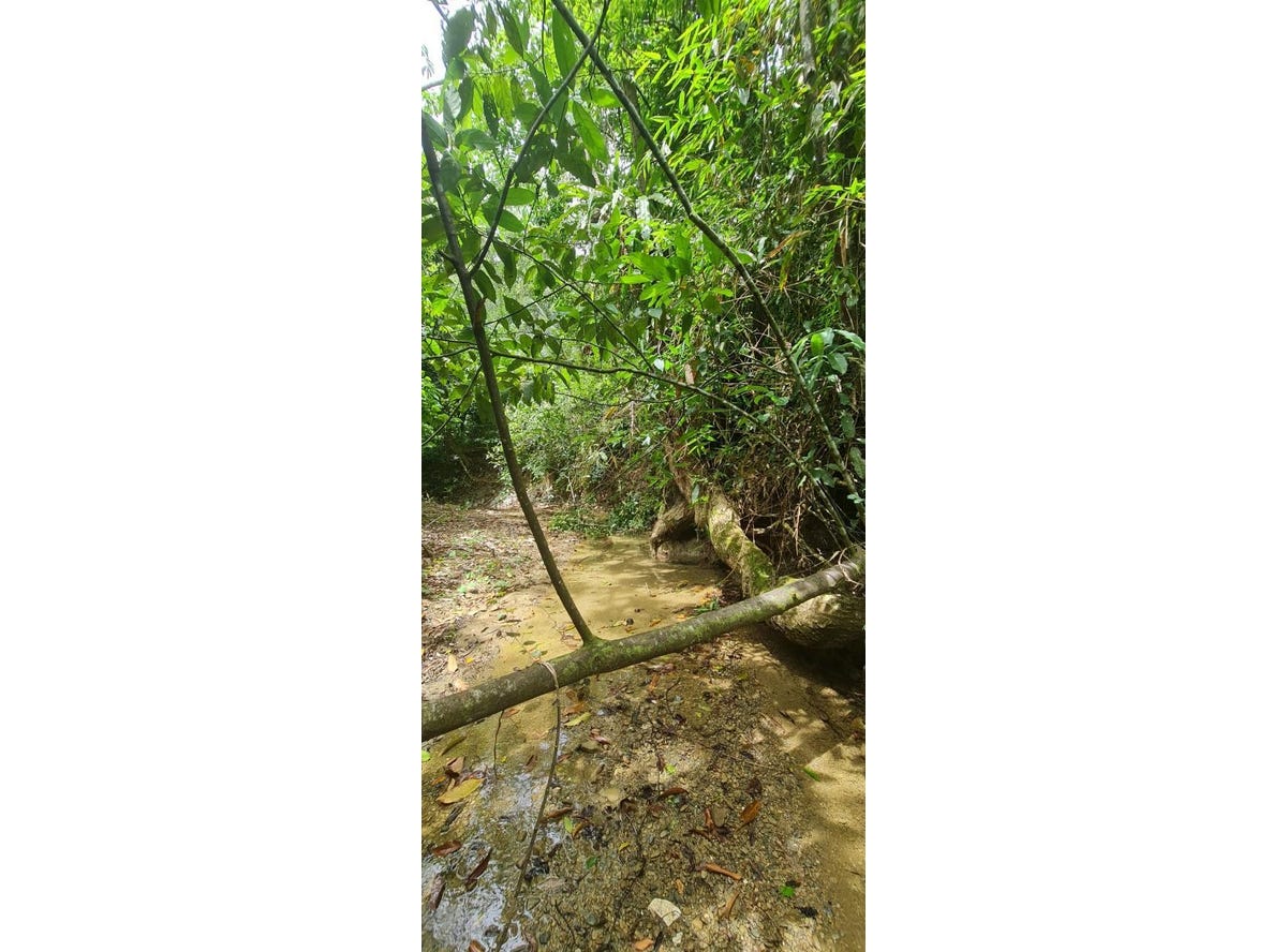 HEYWOOD HALL, ST. MARY, Highgate, St. Mary Parish Land for Sale