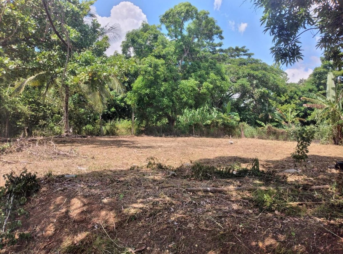 ORANGEFIELD, EWARTON, Ewarton, Saint Catherine Parish Land for Sale