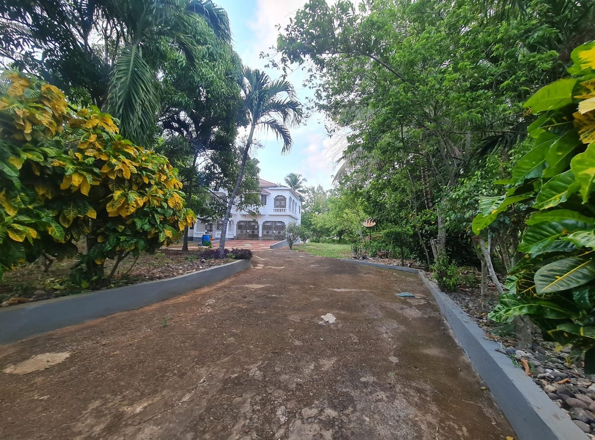SHECKLES PEN FOUR PATH, Four Paths, Clarendon House for Sale