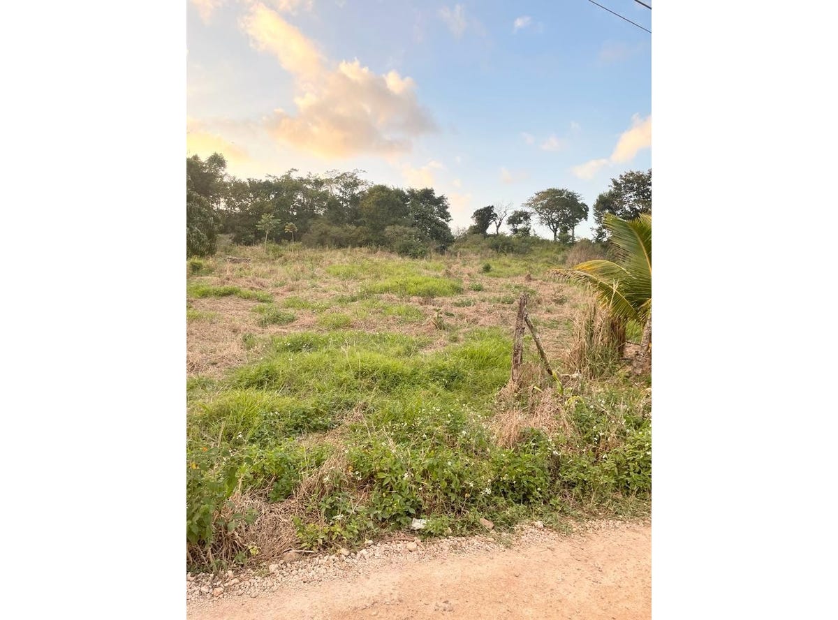 KNOCKPATRICK, Knockpatrick, Manchester Parish Land for Sale