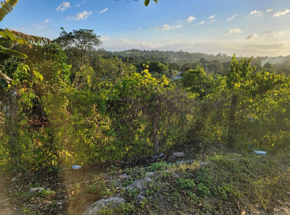 EDDERSFIELD, MANGO VALLEY, Boscobel, St. Mary Parish Land for Sale
