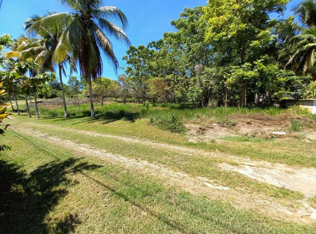 UPTON ROAD, Ocho Rios, St. Ann Parish Land for Sale