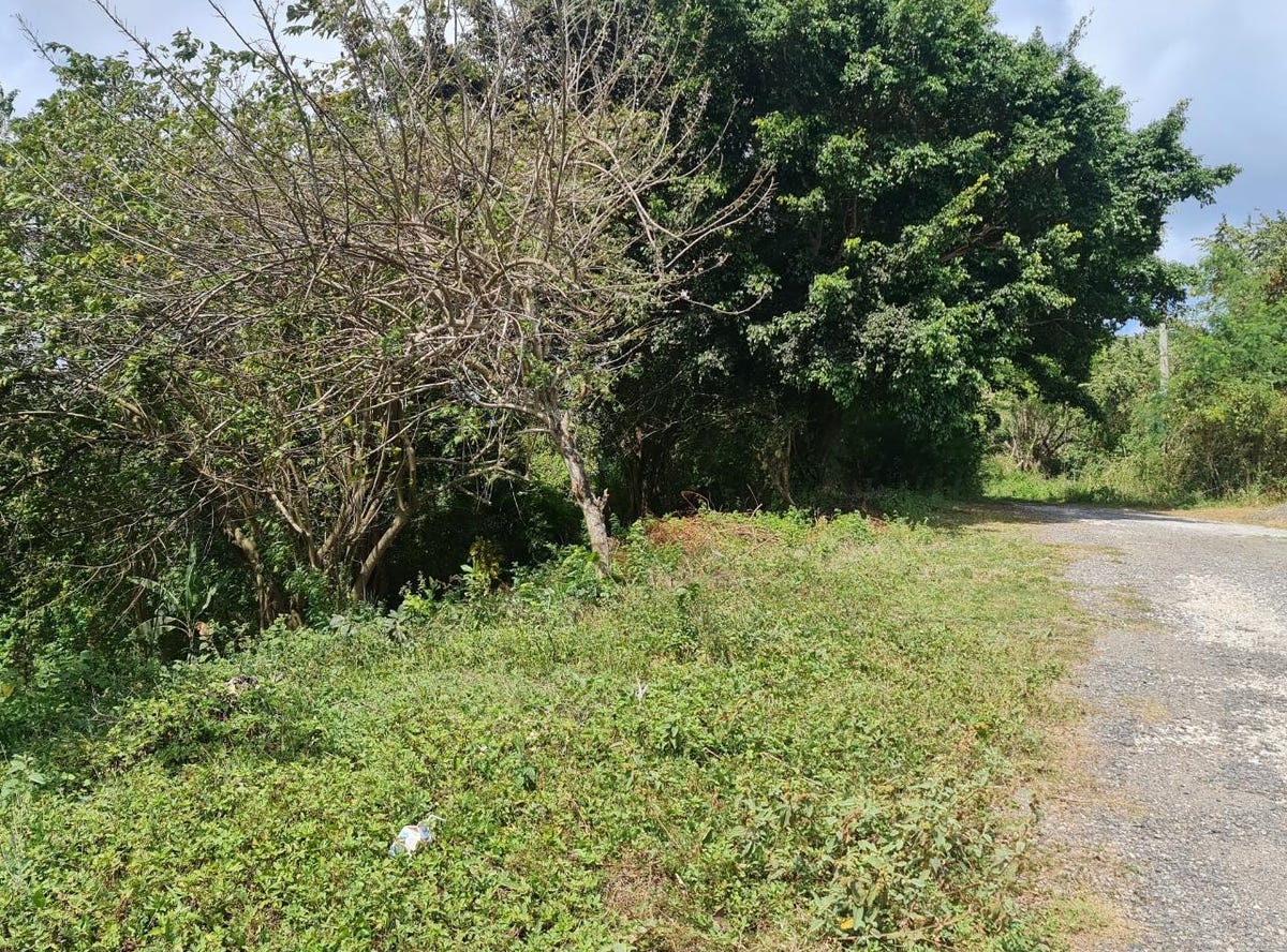 FRONTIER ESTATE, Port Maria, St. Mary Parish Land for Sale