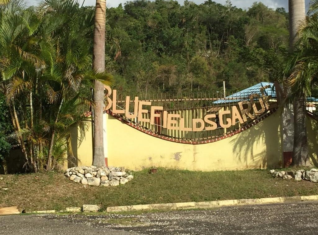 RICKETTS WAY, BLUEFIELDS, 1442, Westmoreland Parish Land for Sale