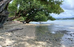Aore Point, Aore Island, 