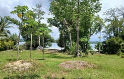 Aore Point, Aore Island, 