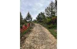 Raub, Pahang 27600