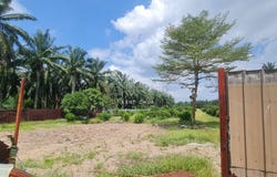 Kuala Selangor, Selangor 45600