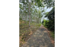 TMN KUALA KANGSAR, Kuala Kangsar, Perak 33000