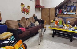 Jalan Daya, Taman Daya, Kepong, Selangor 52100