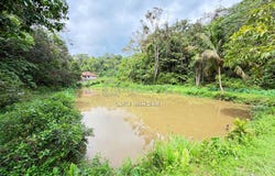 Ulu Cheringing, Bentong, Pahang 28750