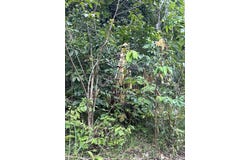 Jalan Impian Murni 2/2, Taman Impian Murni, Kajang, Selangor 43000