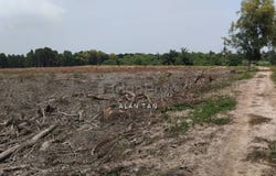 Jalan Telok Gong, Port Klang, Selangor 42000