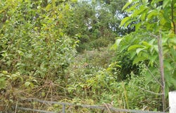 Jalan Kajang Perdana, Kajang, Selangor 43000