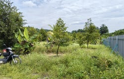 Raub, Pahang 0