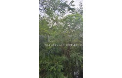 Bandar Teknologi Kajang, Kajang, Selangor 43500