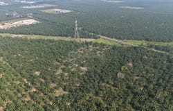 11 Acres Freehold Zone Industry Land Jeram Kapar,Kapar,Selangor, Klang, Selangor 42200