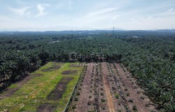 Kuala Selangor, Selangor 45600