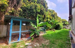Jalan Canning Estate, Ipoh, Perak 31400