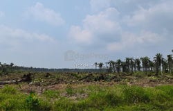 Jalan Rawang, Kuala Selangor, Selangor 45600